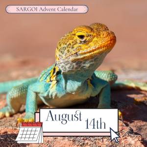 Lizard Day  